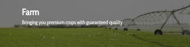 Jobs and Careers at Dina Farms  in Egypt | join today!