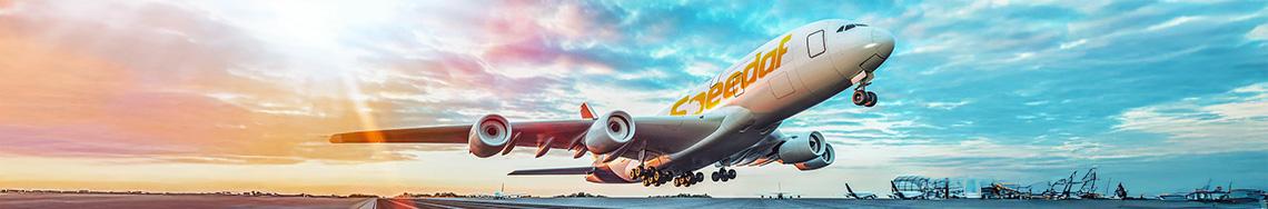 Jobs and Careers at Speedaf Express Egypt in Egypt | join today!