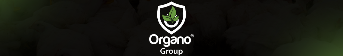 Jobs and Careers at Organo Group in Egypt | join today!