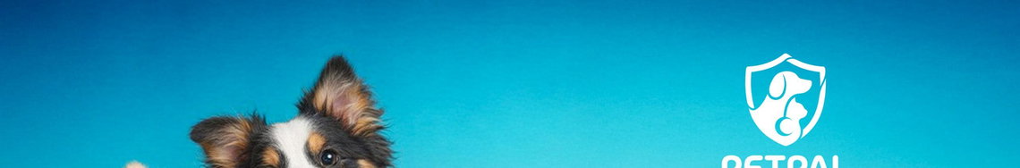 Jobs and Careers at PetPal in Egypt | join today!