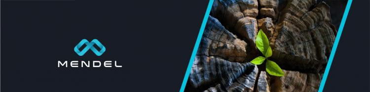 Jobs and Careers at Mendel Health in United States | join today!