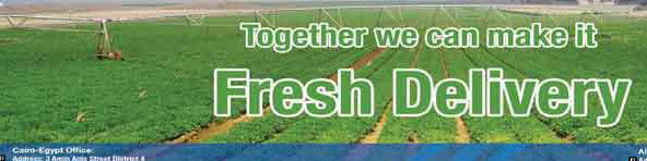 Jobs and Careers at USCO Log in Egypt | join today!