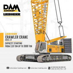 Jobs and Careers at DAM Group in Egypt | join today!