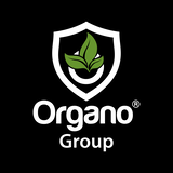 Jobs and Careers at Organo Group in Egypt | join today!