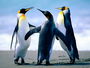 Jobs and Careers at Glacier Egypt