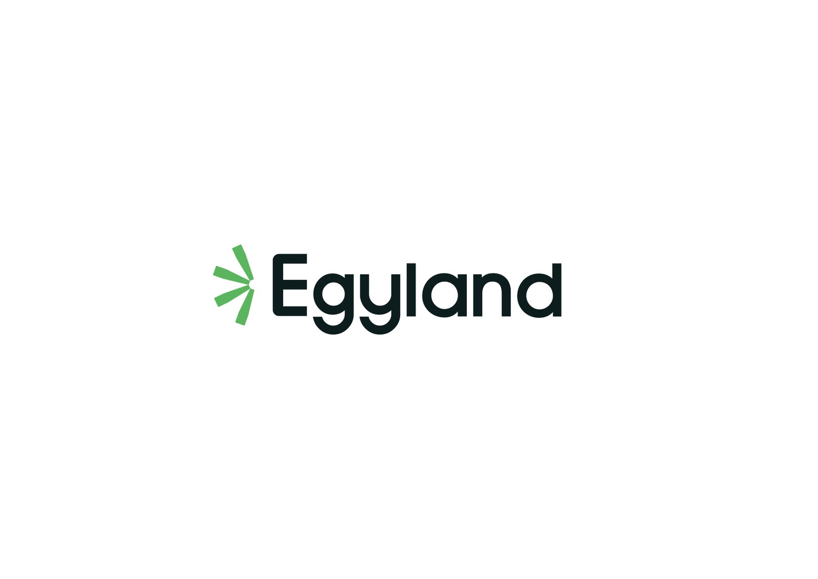 Egyland International Trade