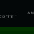 Anecdote agency 