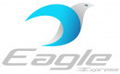 eagle express logo