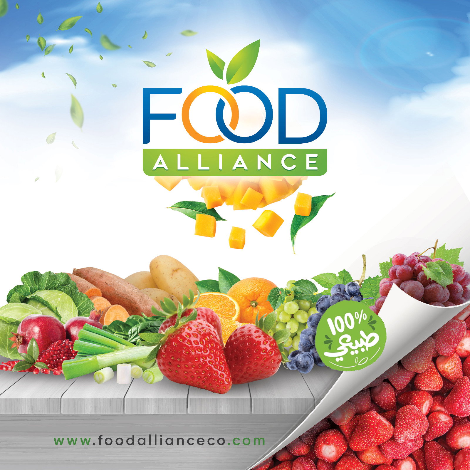 Food Alliance