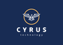 Jobs and Careers at Cyrus Technology Egypt  Egypt
