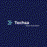 Techsa logo