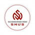 Scandinavian logo