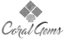 Jobs and Careers at Coral Gems Egypt