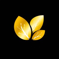 Midas Global Tech