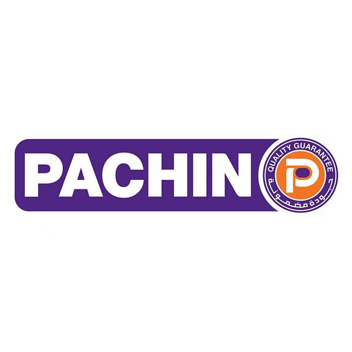 PACHIN FOR PAINTS