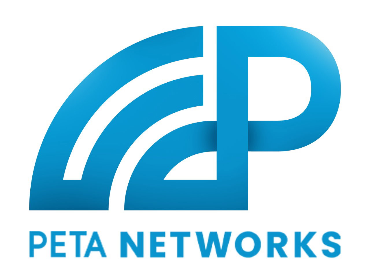 Peta Networks