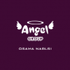 Angel group logo