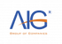 AIG logo