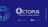 Jobs and Careers at Octopus Outsourcing in Egypt | join today!