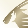 Jobs and Careers at Qatar Executive in United Arab Emirates | join today!