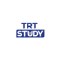 Jobs and Careers at TRTSTUDY Company Egypt