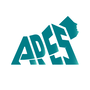 Jobs and Careers at Apes Enterprise Solutions  Egypt