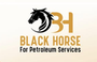 Jobs and Careers at Black Horse for petroleum services and pipes trading Egypt