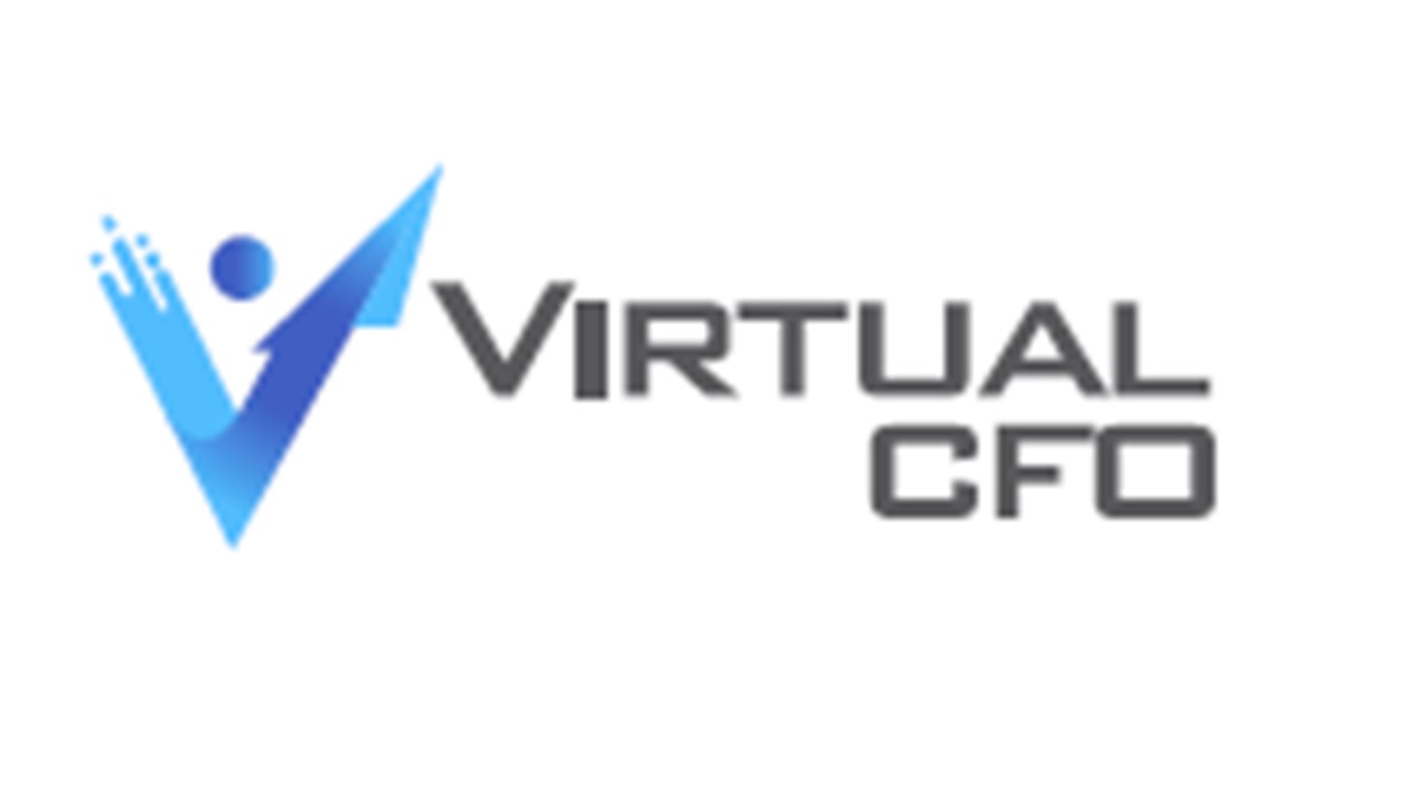 VCFO consulting