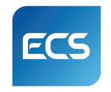 Jobs and Careers at Enterprise Consultancy Services - ECS  in Egypt | join today!