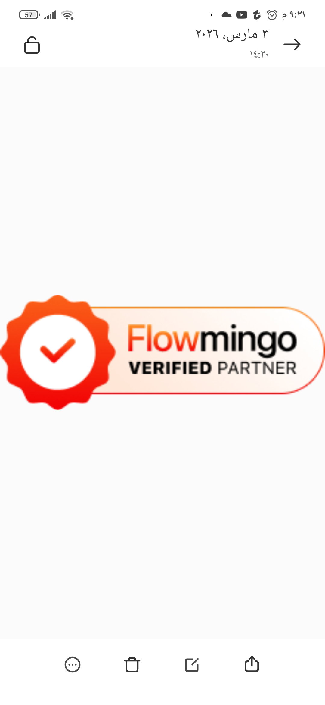 Flowmingo AI