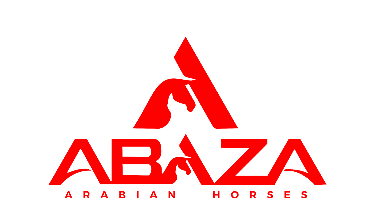 Abaza Arabian horses 