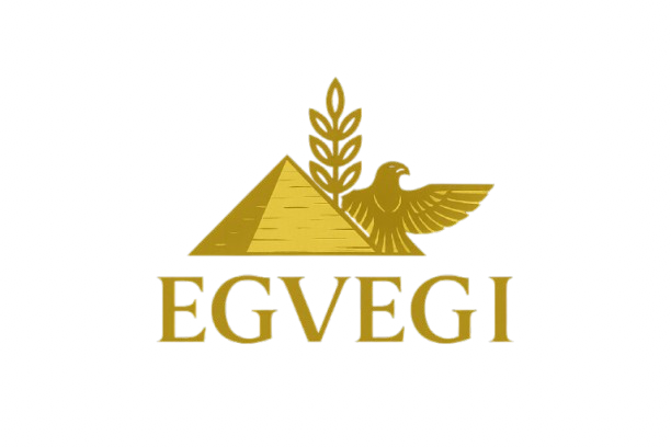 Egvegi