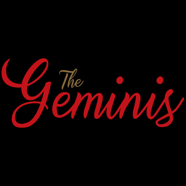 The Geminis a 360 Marketing Agency