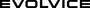 Jobs and Careers at Evolvice GmbH Egypt