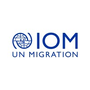 Jobs and Careers at Vacancies at IOM Indonesia Egypt