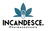 Jobs and Careers at Incandesce Pharmaceuticals in Egypt | join today!