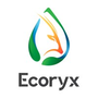 Jobs and Careers at Ecoryx Egypt