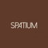 Spatium for design and fine finishing logo