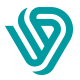 Digital Visions For Information Technology logo