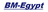 Jobs and Careers at BM-Egypt for medical and scientific equipment S.A.E (Bagneid Group) in Egypt | join today!