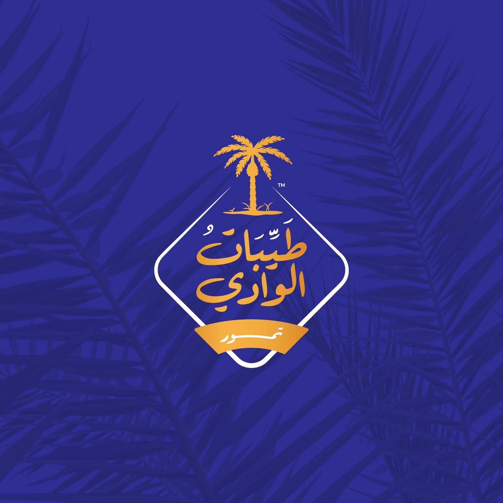 Taybat Elwadi