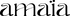 amaïa logo