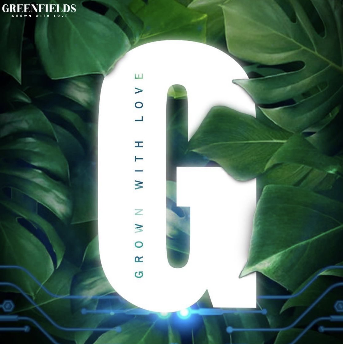 Jobs and Careers at Greenfields egypt in Egypt – Join Us Today!