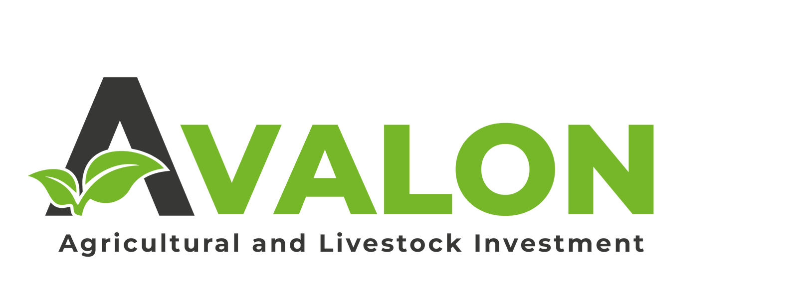 AVALON CO