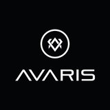 Jobs and Careers at Avaris  in Egypt | join today!