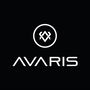 Jobs and Careers at Avaris  Egypt