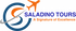 Saldino Tours - Egypt logo