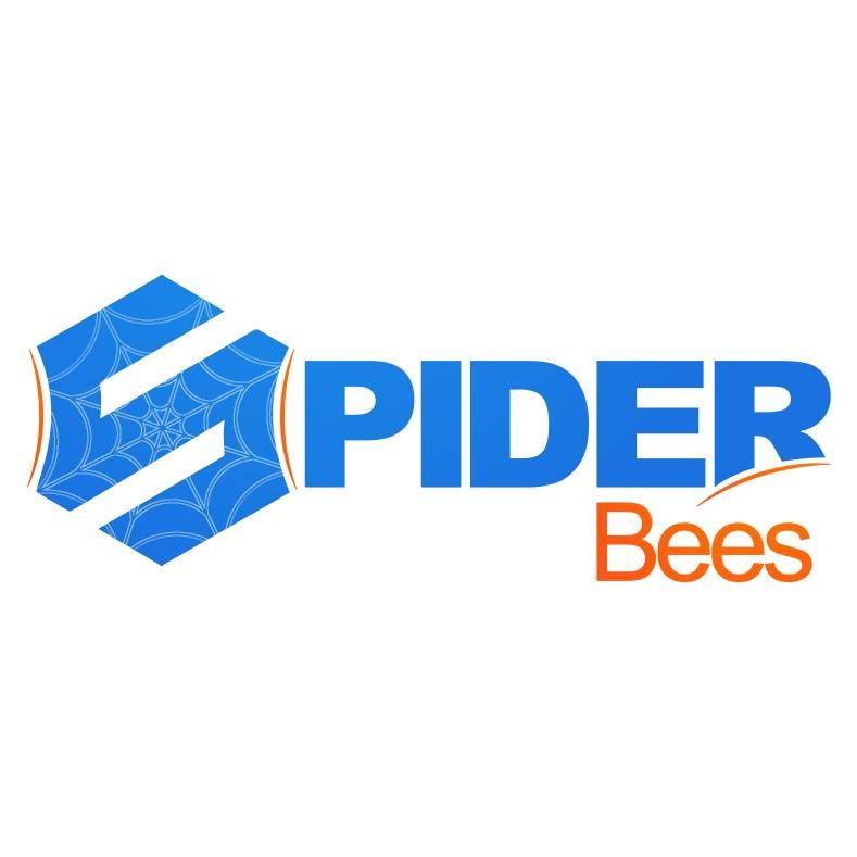 Jobs and Careers at Spider Technology, Egypt WUZZUF