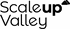 Scaleup Valley