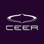 Jobs and Careers at Ceer Egypt